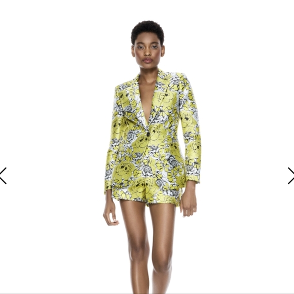 Alice & Olivia Short Set Suit - Picture 10 of 12